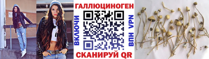 Галлюциногенные грибы MAGIC MUSHROOMS  Чапаевск 