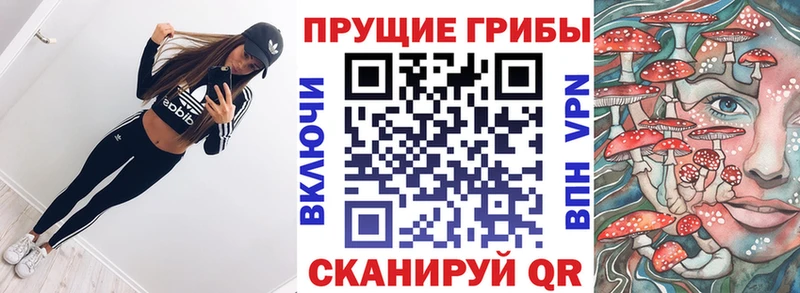 Псилоцибиновые грибы Psilocybe Чапаевск